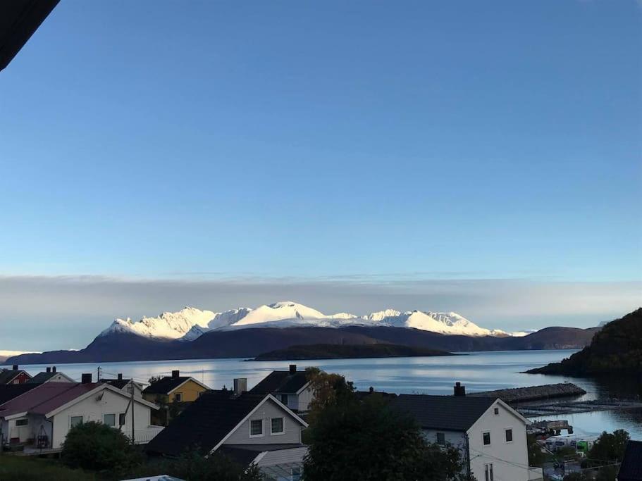 Perfect Apartment For Whale Safari At Skjervoy! Esterno foto